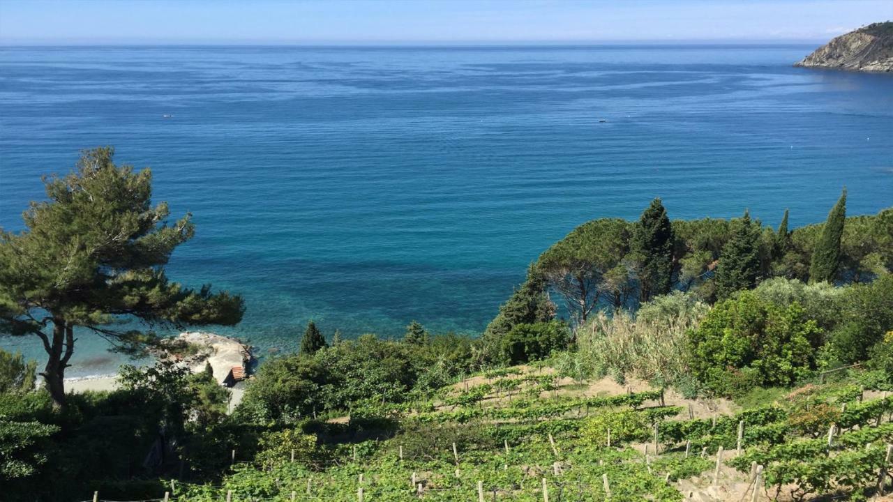 2 Con Terrazza Nel Apartment Moneglia
