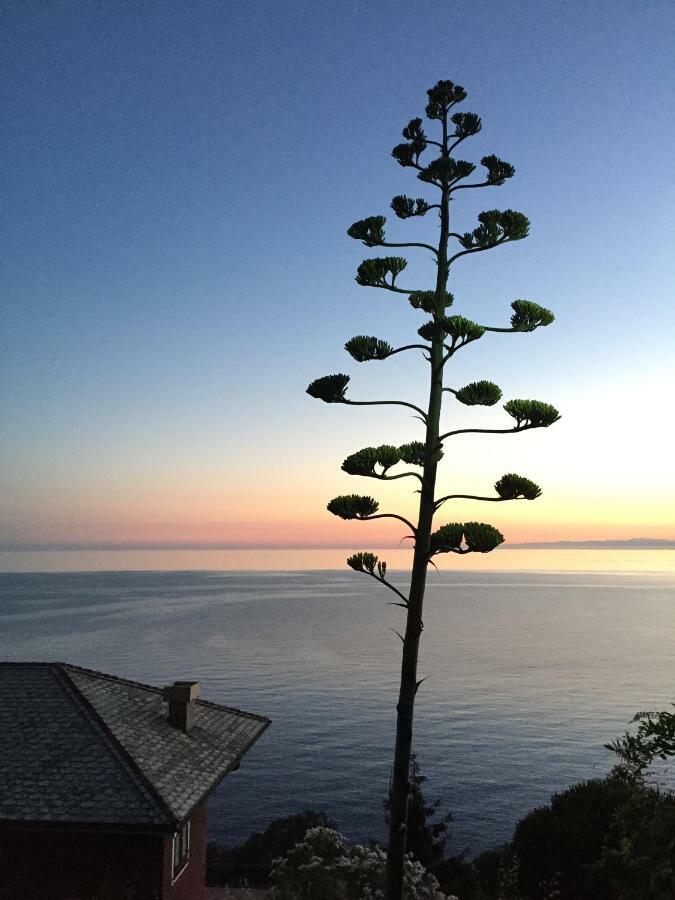 2 Con Terrazza Nel * Moneglia